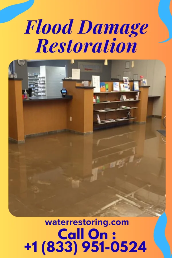 Flood Damage Restoration in Merrill, MI