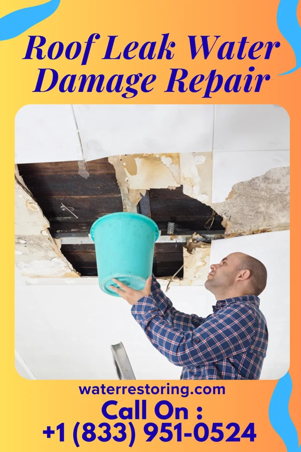 Roof Leak Water Damage Repair in Merrill, MI