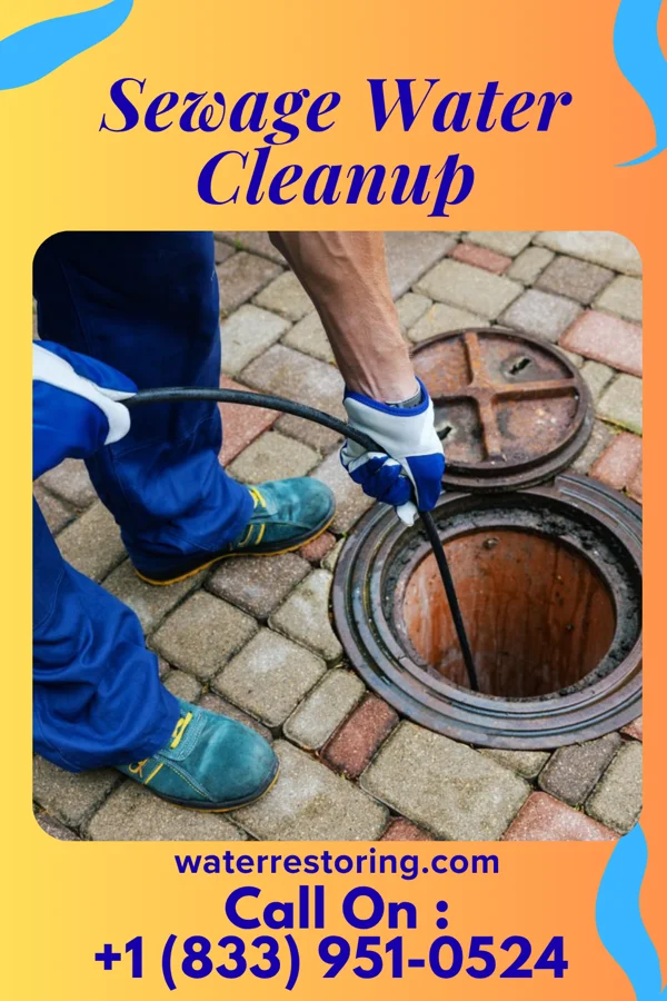 Sewage Water Cleanup in Merrill, MI